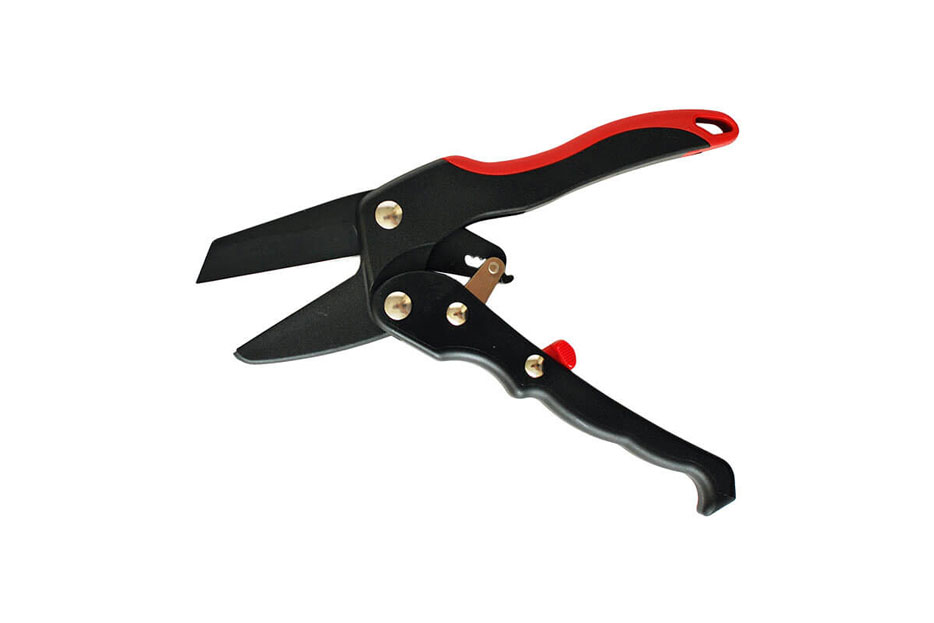 ratchet-pruner