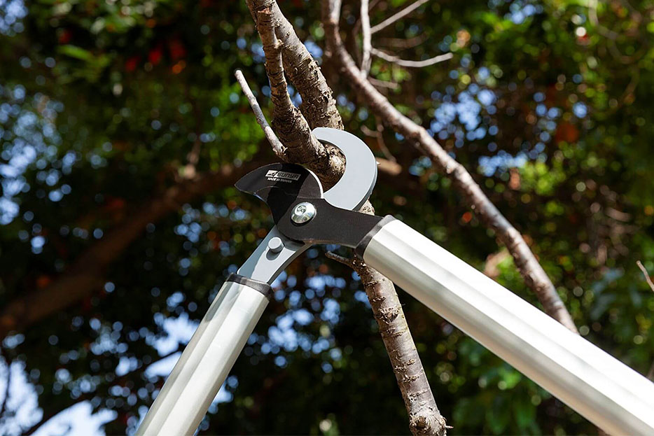 bypass loppers for living wood pruning job