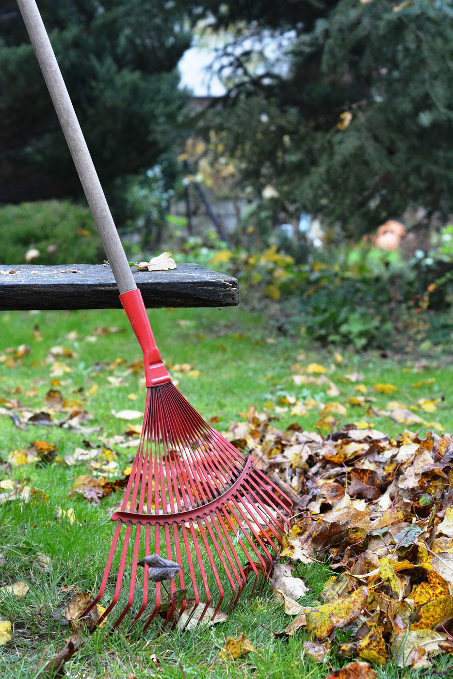 8201-30-leaf-rake