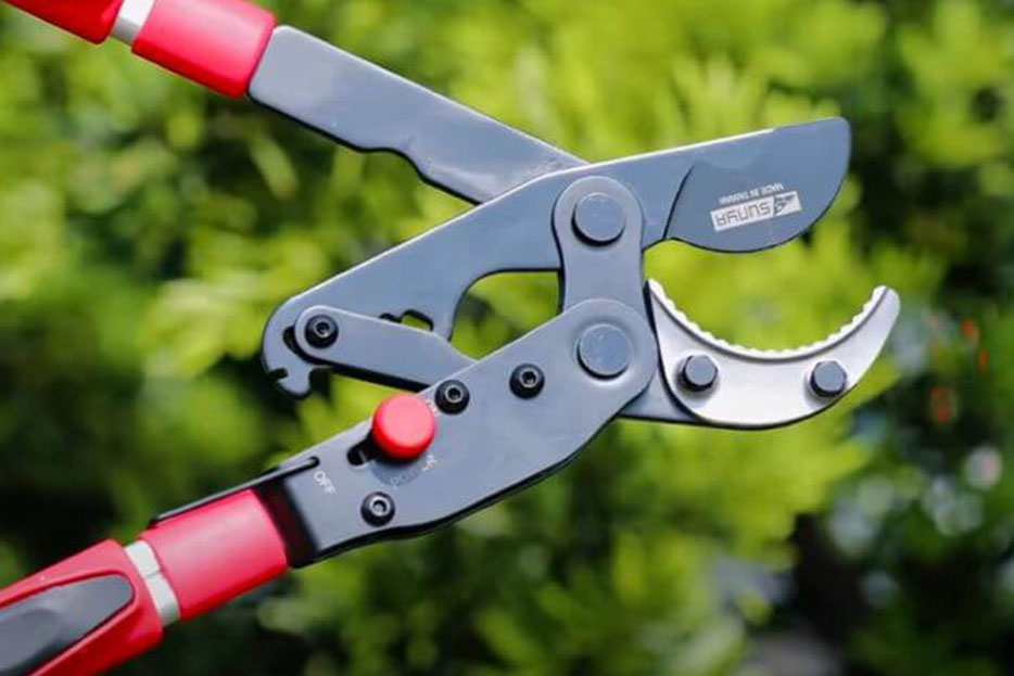 ratchet loppers for cutting through thicker branches with minimal effort