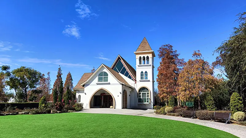 Professional Landscaping